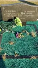 Захоронение ID 1309607