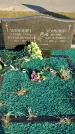 Захоронение ID 1309608