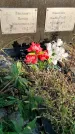 Захоронение ID 1309611