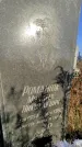 Захоронение ID 1309620