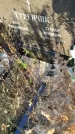 Захоронение ID 1309645