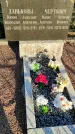 Захоронение ID 1309701