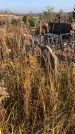Захоронение ID 1309708