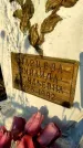 Захоронение ID 1309808