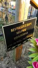 Захоронение ID 1309859