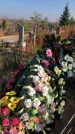 Захоронение ID 1309982