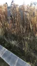 Захоронение ID 1309986