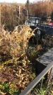 Захоронение ID 1309990