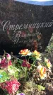 Захоронение ID 1309993