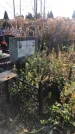 Захоронение ID 1310003