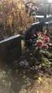 Захоронение ID 1310007