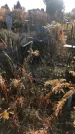 Захоронение ID 1310009