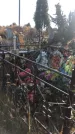 Захоронение ID 1310023