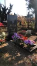 Захоронение ID 1310038