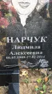 Захоронение ID 1310043