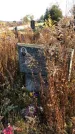 Захоронение ID 1310073