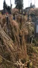 Захоронение ID 1310084