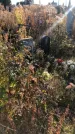 Захоронение ID 1310106