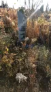 Захоронение ID 1310108