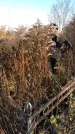 Захоронение ID 1310118