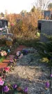 Захоронение ID 1310121
