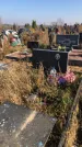 Захоронение ID 1310130