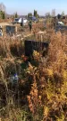 Захоронение ID 1310133