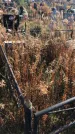Захоронение ID 1310138