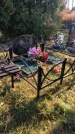 Захоронение ID 1310140