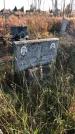 Захоронение ID 1310151
