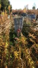 Захоронение ID 1310160