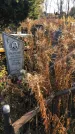 Захоронение ID 1310162