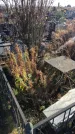 Захоронение ID 1310261
