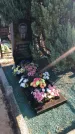 Захоронение ID 1310287