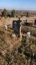 Захоронение ID 1310301