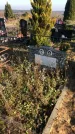 Захоронение ID 1310371