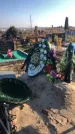 Захоронение ID 1310381