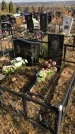 Захоронение ID 1310388