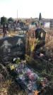 Захоронение ID 1310403