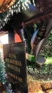Захоронение ID 1310414