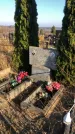 Захоронение ID 1310429