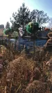 Захоронение ID 1310430