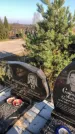 Захоронение ID 1310433