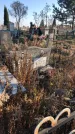 Захоронение ID 1310469