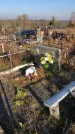 Захоронение ID 1310493