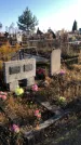 Захоронение ID 1310496