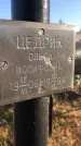 Захоронение ID 1310533