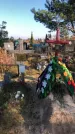 Захоронение ID 1310559