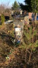 Захоронение ID 1310613