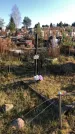 Захоронение ID 1310646
